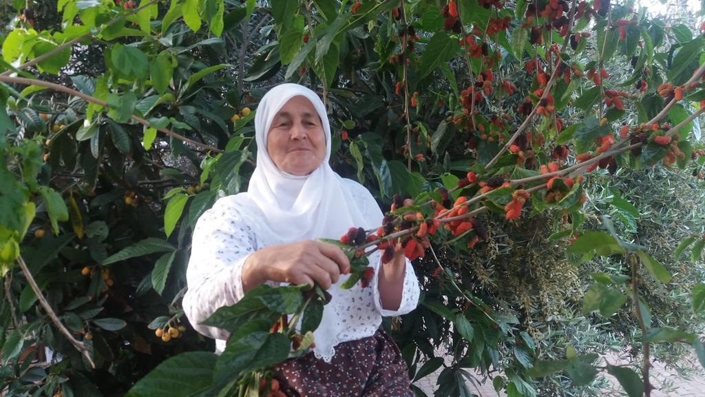 Likya Pansiyon Kaleucagiz Ngoại thất bức ảnh