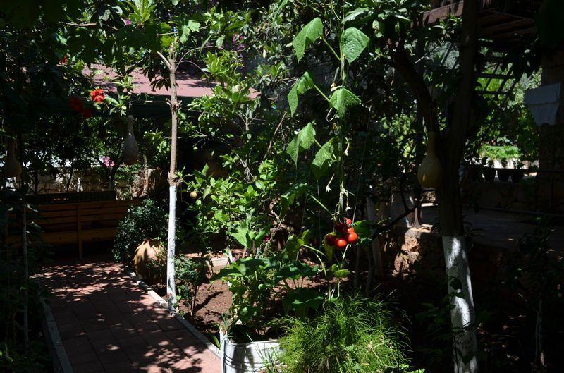 Likya Pansiyon Kaleucagiz Ngoại thất bức ảnh